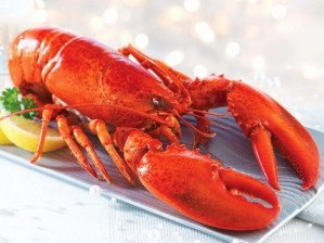 093645_61079_Lobster