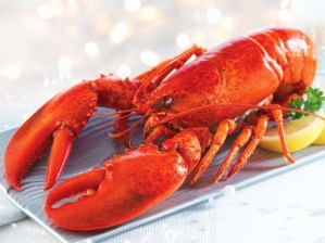61079_Lobster